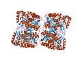 Thumbnail for Hydroxymethylglutaryl-CoA synthase