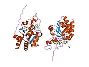 PDB 1u31 EBI.jpg