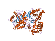 2fy3: Structures of ligand bound human choline acetyltransferase provides insight into regulation of acetylcholine synthesis