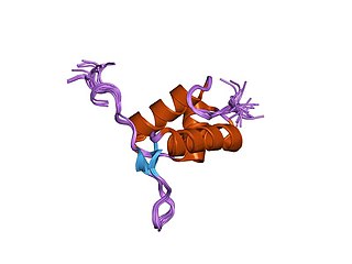 <span class="mw-page-title-main">FtsK</span> Protein involved in bacterial cell division