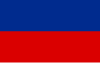 Vlag van Gliwice