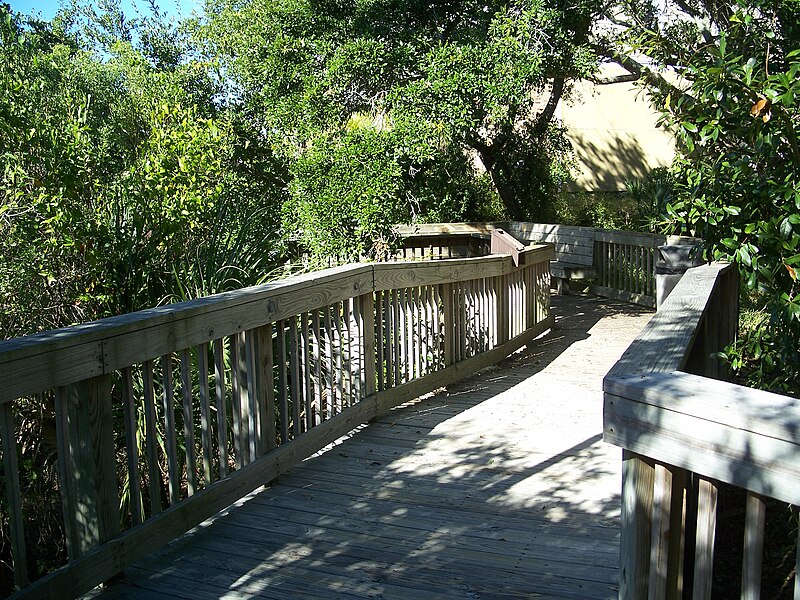 File:Panama City FL dune walkover02.jpg