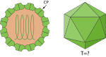 Neue Vektorgrafik