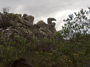 Pedra da Garça