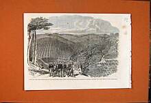 Peruvian bark plantation in India 1864 Peruvian Bark Tree Plantations in the Neilgherry Hills, India - ILN 1862.jpg