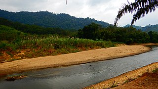 <span class="mw-page-title-main">Kapong district</span> District of Thailand