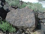 Phoenix-Deer Valley Rock Art Center - Petroglyph - 2.JPG