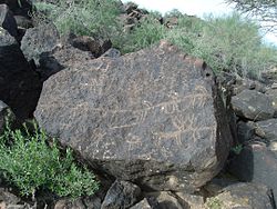 This Hohokam Petroglyph. located at the Deer Valley Rock Art Center in Phoenix shows a "scene", in the lower right hand corner, of two deer bumping heads. Phoenix-Deer Valley Rock Art Center- Petroglyph - 2.JPG