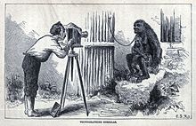 Gravure van een man in een overhemd die een jonge gorilla in kettingen in de slaapkamer fotografeert.