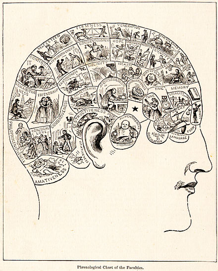 A typical 19th-century phrenology chart: During the 1820s, phrenologists claimed the mind was located in areas of the brain, and were attacked for doubting that mind came from the nonmaterial soul. Their idea of reading "bumps" in the skull to predict personality traits was later discredited.[23][24] Phrenology was first termed a pseudoscience in 1843 and continues to be considered so.[17]