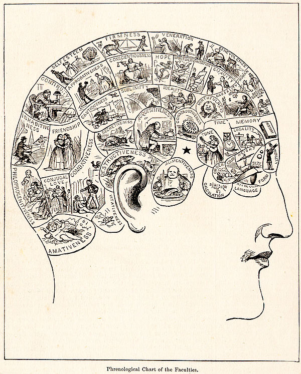 An 1883 phrenology chart