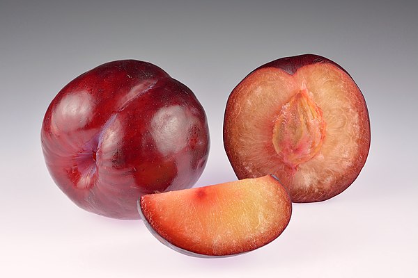 African Rose plums (Japanese or Chinese plum).