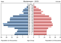 Українська: Віково-статева піраміда населення Чорногорії за 2015 рік. Вона дає наочне уявлення про вікову і статеву структура населення країни, може слугувати джерелом інформації про політичну і соціальну стабільність, економічний розвиток. Блакитними кольорами ліворуч, у вигляді горизонтальних смуг показані вікові групи (по 5 років кожна) чоловічої статі, праворуч рожевими — жіночої. Наймолодші вікові групи — внизу, найстаріші — вгорі. Форма піраміди поступово еволюціонує з плином часу під впливом чинників народжуваності, смертності і світової міграції.