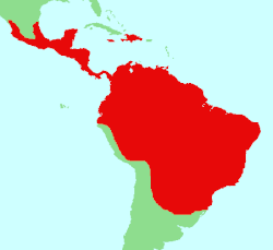 Distribución geográfica de Nyctibius