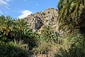 Preveli Palm Forest 01.JPG