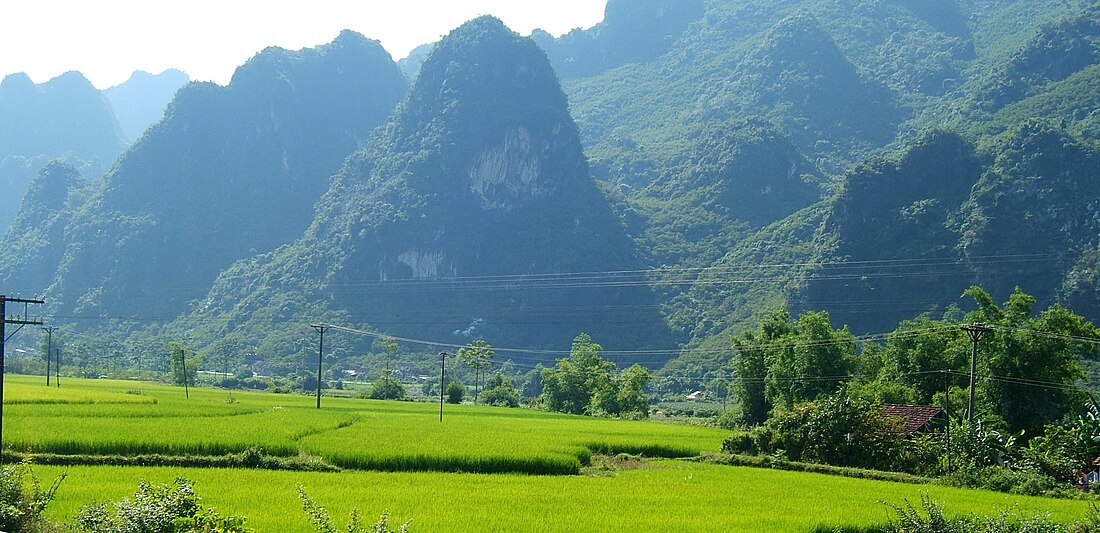 枝陵县