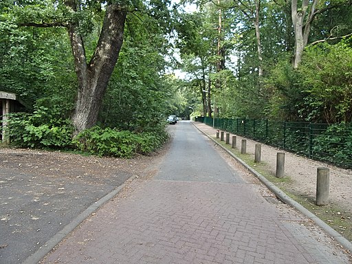 Rüdigerau ab Sandmoorweg in Hamburg-Rissen