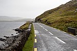 Thumbnail for R335 road (Ireland)