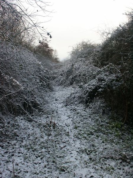 File:Railway Embankment, Haydon Hill - geograph.org.uk - 96971.jpg