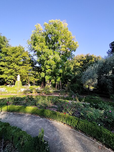 File:Real Jardín Botánico de Madrid en septiembre de 2022 25.jpg