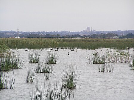 Reedy Lake 04