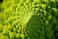 * Nomination Detail view of Romanesco broccoli (Brassica oleracea) --XRay 03:40, 23 April 2021 (UTC) * Promotion  Support Good quality -- Johann Jaritz 03:54, 23 April 2021 (UTC)