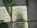 image=File:Rosa_Silbermann_Stolperstein_Dresden.JPG