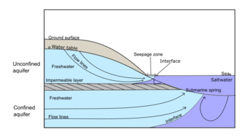 A sketch for the submarine groundwater discharge. Submarine groundwater discharge= meteoric water + freshwater from aquifers + recirculated seawater. Modified from Pacific Coastal and Marine Science Center (2021). SGD.png