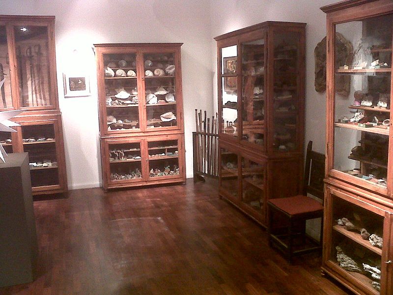 File:Sala del Museo.jpg