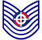 Sargento Mayor Fuerza Aerea Dominicana Fix.svg
