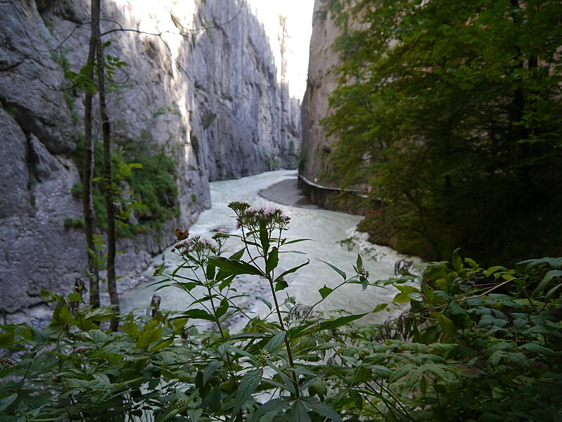 File:Schweiz Aareschlucht 26.JPG