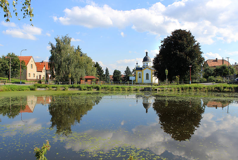 File:Sedliště, common.jpg