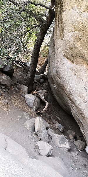 File:Sequoia National Park (USA) 2.jpg