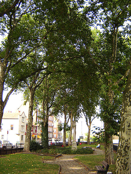 Shacklewell Green, an old village green encircled by modern London.