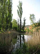 Landschaftsbild innerhalb von Siebeldingen