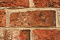 * Nomination It's, well... a brick. Thegreenj 21:05, 2 July 2007 (UTC) * Promotion Well shot, maybe a bit overexposed. Better than the photo of the wall, mainly because it is larger. --Florian Prischl 07:48, 3 July 2007 (UTC)