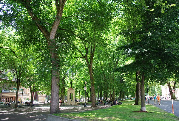 Blocks at Salmon Street