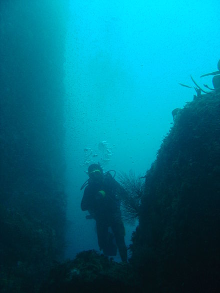 The south east face of Star Wall (left of photo) at about 27 m depth