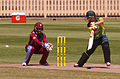 Southern Stars vs West Indies women's cricket (15085310554).jpg