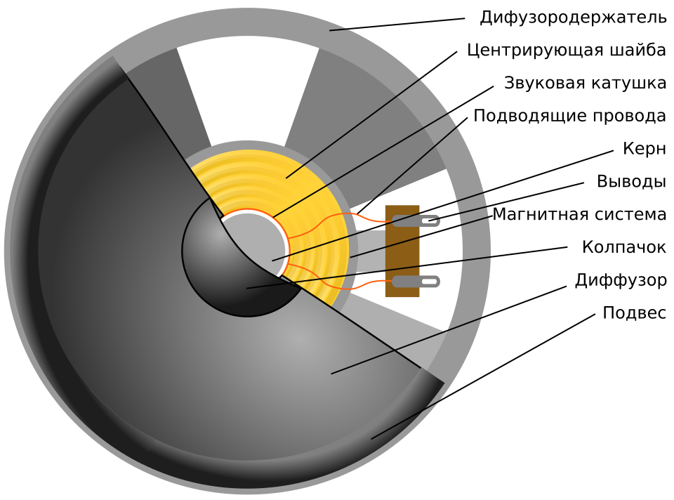 Части динамика. Схема устройства динамического громкоговорителя/динамика.. Электродинамический громкоговоритель схема. Конструкция динамика колонки. Строение динамика колонки.