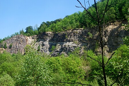 Steinbruch Holzmühle (3)