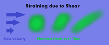 A plankton patch in the ocean being dispersed horizontally due to velocity shear Straining due to Shear.png