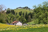 Sulzberg, Bregenz