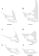 Gambar mini seharga Tapejaridae