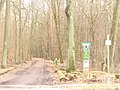 Tegel - Waldweg (Woodland Path) - geo.hlipp.de - 32752.jpg