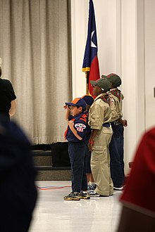 Texas Cub Scouts saluting. Texas Cub Scouts Saluting.jpg