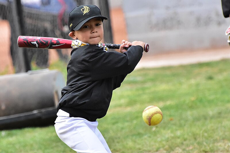 File:Torneo Leyendas del Softbol Femenino - 1° Edición Eugenia Queni Valent - Club Atlético Patronato 132.jpg