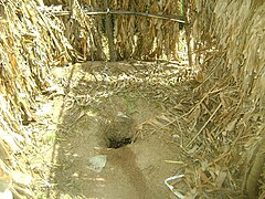 'n Tradisionele puttoilet in Kenia.