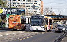 Transdev Melbourne route 251 buses.jpg
