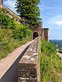 Trifels-42-2022-gje.jpg